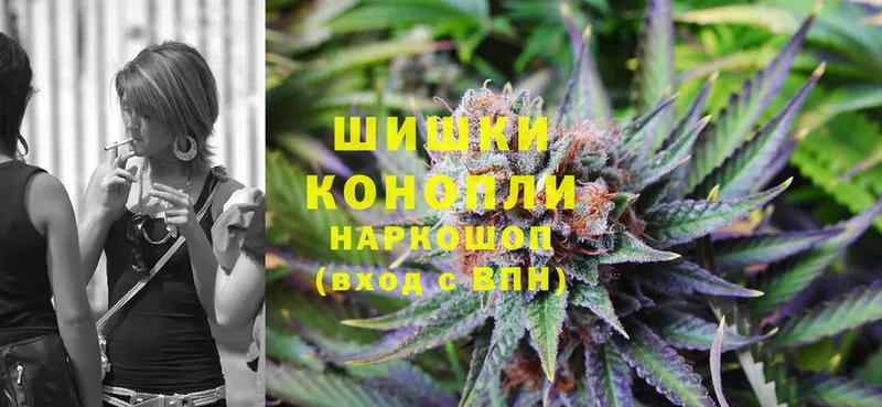 Конопля OG Kush  Берёзовский 